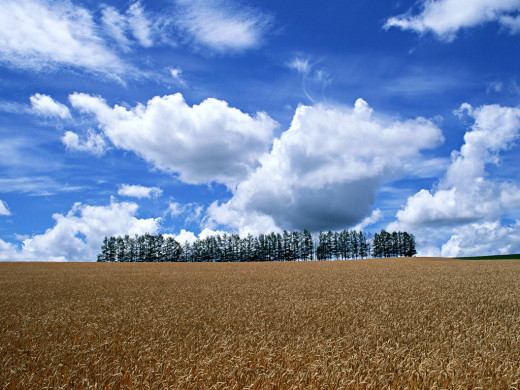 24759 (a): :1024x768